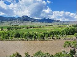 80 Haman McCall Tr, Wapiti WY 82450