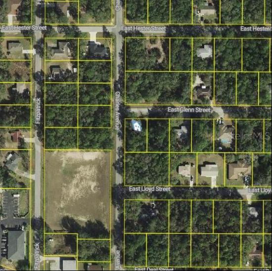 3022 E Glenn Street, Inverness FL 34453