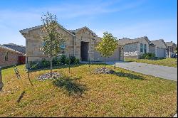 19817 Abigail Fillmore Rd, Manor TX 78653