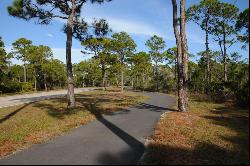 1436 Elm Ct, St. George Island FL 32328