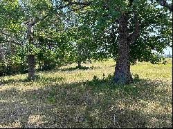 Lot 7 5 ACRES County Road 2166, Troup TX 75789