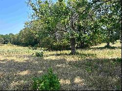 Lot 7 5 ACRES County Road 2166, Troup TX 75789