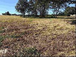 3.35 ACRES tbd County Road 2169, Troup TX 75789