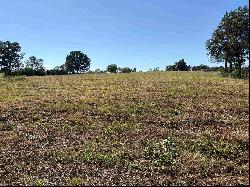 3.35 ACRES tbd County Road 2169, Troup TX 75789