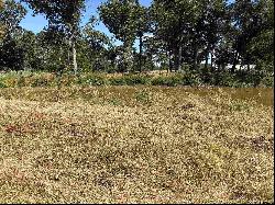 3.35 ACRES tbd County Road 2169, Troup TX 75789