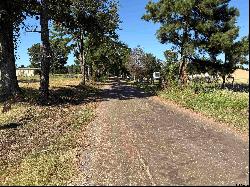 3.35 ACRES tbd County Road 2169, Troup TX 75789