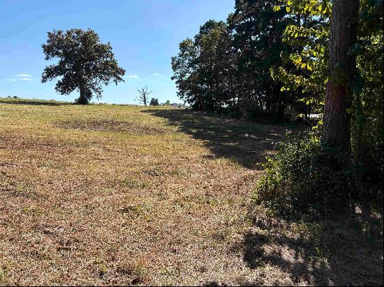 Lot 9 5+ ACRES Fm 15, Troup TX 75789