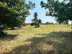 Lot 9 5+ ACRES Fm 15, Troup TX 75789