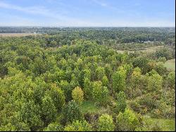 VL Stone Jug Road, Battle Creek MI 49015