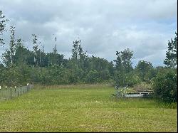 1489 County Road 119, Bryceville FL 32009