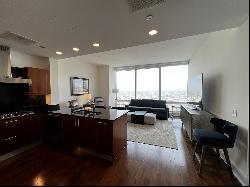 401 N Wabash Avenue #59B, Chicago IL 60611