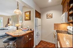 308 Silver Queen Unit 101C, Durango CO 81301