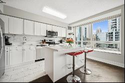 512 N McClurg Court #3010, Chicago IL 60611