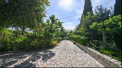 Charming Quinta with panoramic views on a large plot