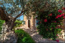 Mallorcan Countryside Villa