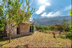 Mallorcan Countryside Villa