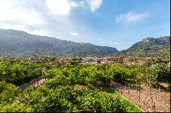 Mallorcan Countryside Villa