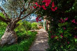 Mallorcan Countryside Villa