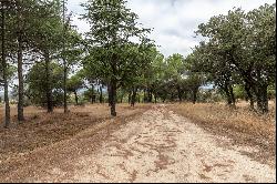 A privileged refuge in the Northwest Sierra of Madrid.