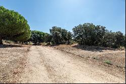 A privileged refuge in the Northwest Sierra of Madrid.