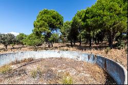 A privileged refuge in the Northwest Sierra of Madrid.