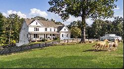 Expansive Equestrian Estate in Canton