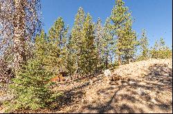 50926 Conifer Drive, Soda Springs, CA 95728