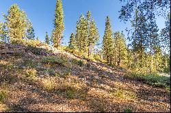 50926 Conifer Drive, Soda Springs, CA 95728