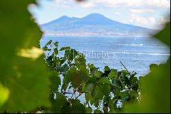 Wonderful Panoramic Apartment between the green and the sea