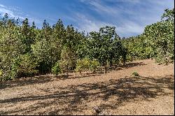 19301 Laurel Canyon Road, Sutter Creek, CA 95685