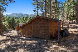 Little Cabin in the Woods on Sunrise Creek 5.91 Acres