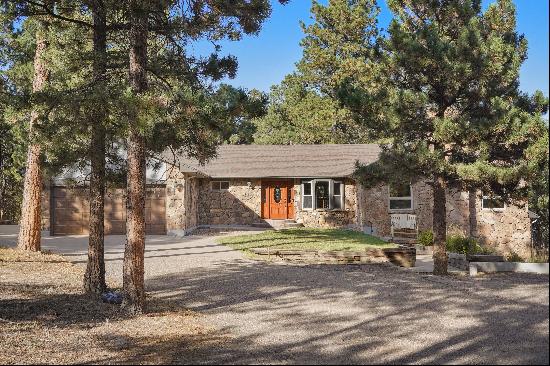 Expansive Black Forest custom rancher on gorgeous wooded 5 acres