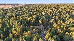 Expansive Black Forest custom rancher on gorgeous wooded 5 acres