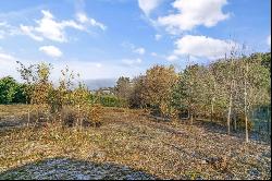 Building plot in a prestigious location, BA IV – Záhorská Bystrica, ID: 0239