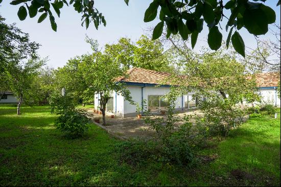 Tradition and Modernity on the Banks of the Danube