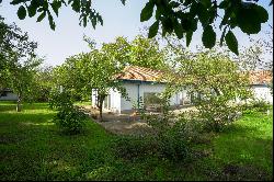 Tradition and Modernity on the Banks of the Danube