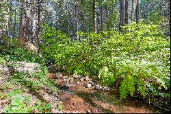 3013 Amber Trail, Pollock Pines, CA 95726