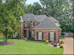 12179 S Shady Tree Ln, Arlington TN 38002