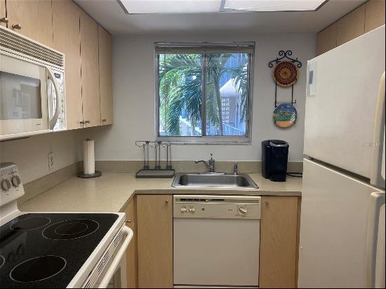 125 5th Avenue NE #250, Saint Petersburg FL 33701