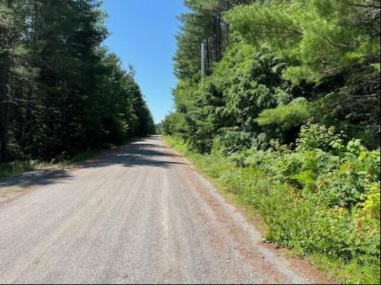 Lot 005 Dority Farm Road, Mariaville ME 04605