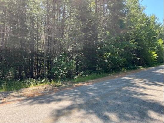 Lot 004 Dority Farm Road, Mariaville ME 04605