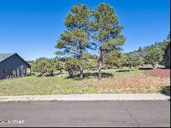 263 Royal Troon Drive #85, Williams AZ 86046