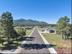 263 Royal Troon Drive #85, Williams AZ 86046