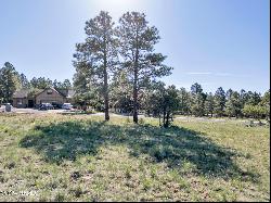 263 Royal Troon Drive #85, Williams AZ 86046