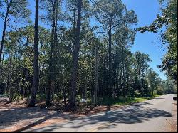 TBD W Hewett Road, Santa Rosa Beach FL 32459