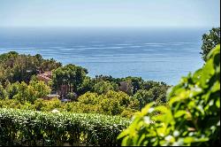 Modern villa with frontal sea views in Pinares de San Antón, Málaga 29018