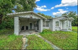 1217 Russell Avenue, Eustis FL 32726