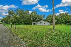 1217 Russell Avenue, Eustis FL 32726