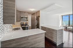 505 N Lake Shore Drive #1712, Chicago IL 60611