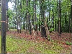 1.3ac Bradbys Lane, Smithfield VA 23430